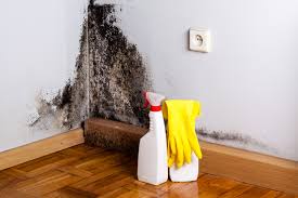 Mold Remediation for Rental Properties in Oakfield, WI